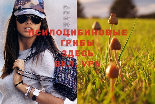 дурь Медногорск